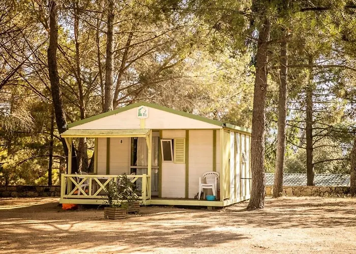 Chalet Zecamping 3 Etoiles Animaux Acceptes