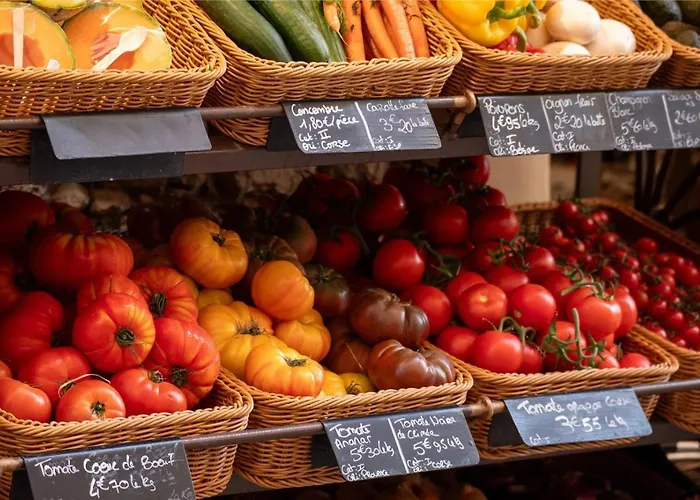 Zecamping 3 Etoiles Animaux Acceptes Chalet Sartene (Corsica)