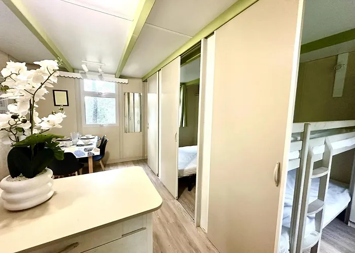 3 Etoiles - Parc Aquatique - Ccbcbfb Chalet *