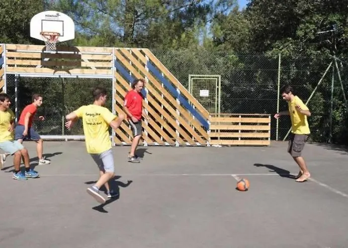 Chalet Zecamping 3 Etoiles Animaux Acceptes